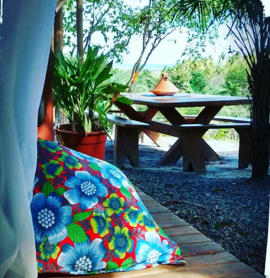 Chale "Oasis" Villa Praia do Forte Exterior foto